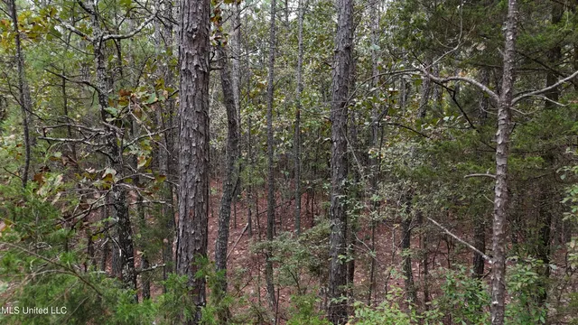 $43,000 | Callicut Rd Road, Waterford, MS 38685