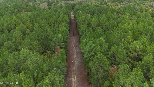 $43,000 | Callicut Rd Road, Waterford, MS 38685
