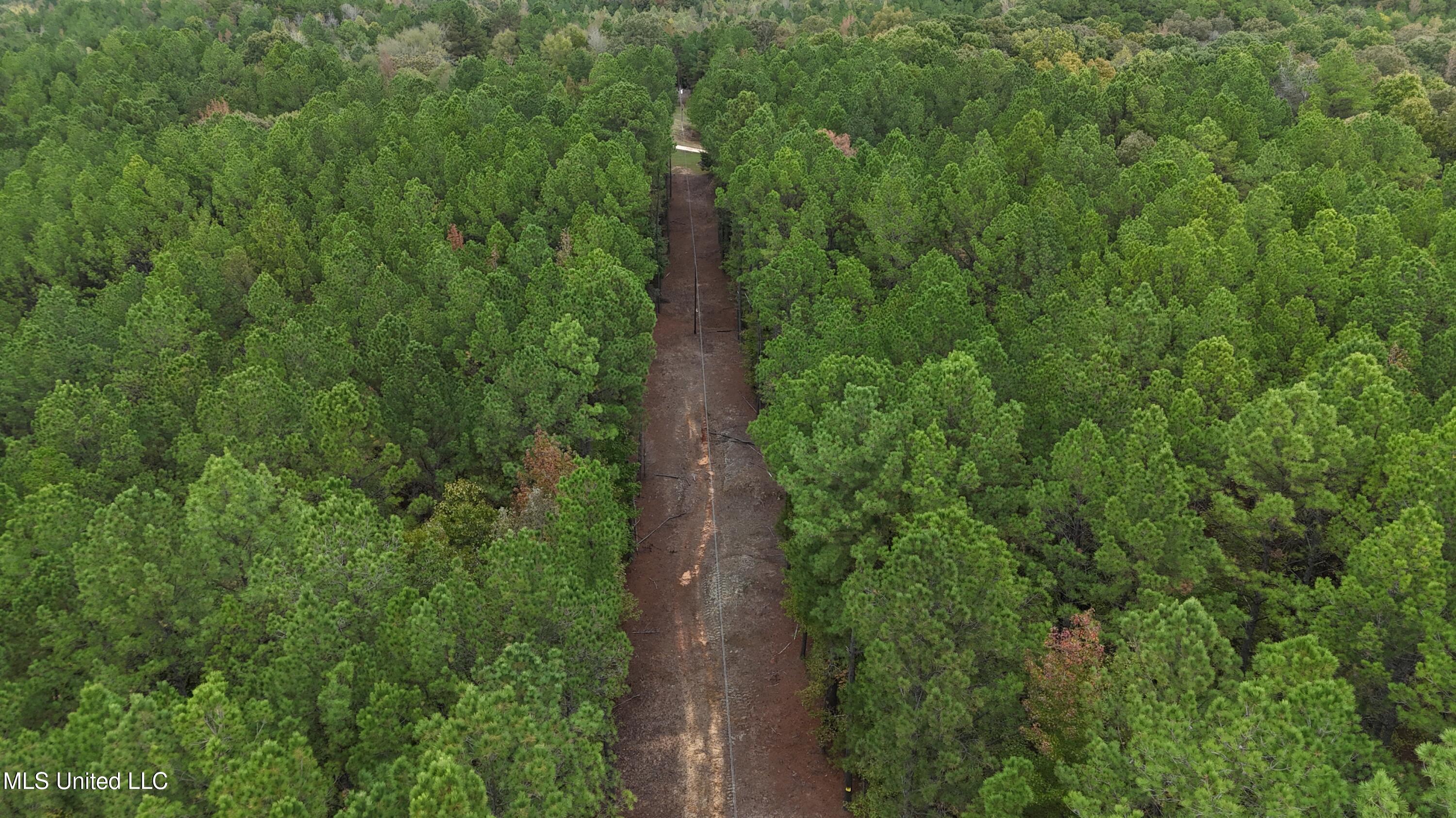 Callicut Rd Road Waterford, MS 38685 - Photo 5 of 15 Photo Oct 24 2025, 3 20 29 PM