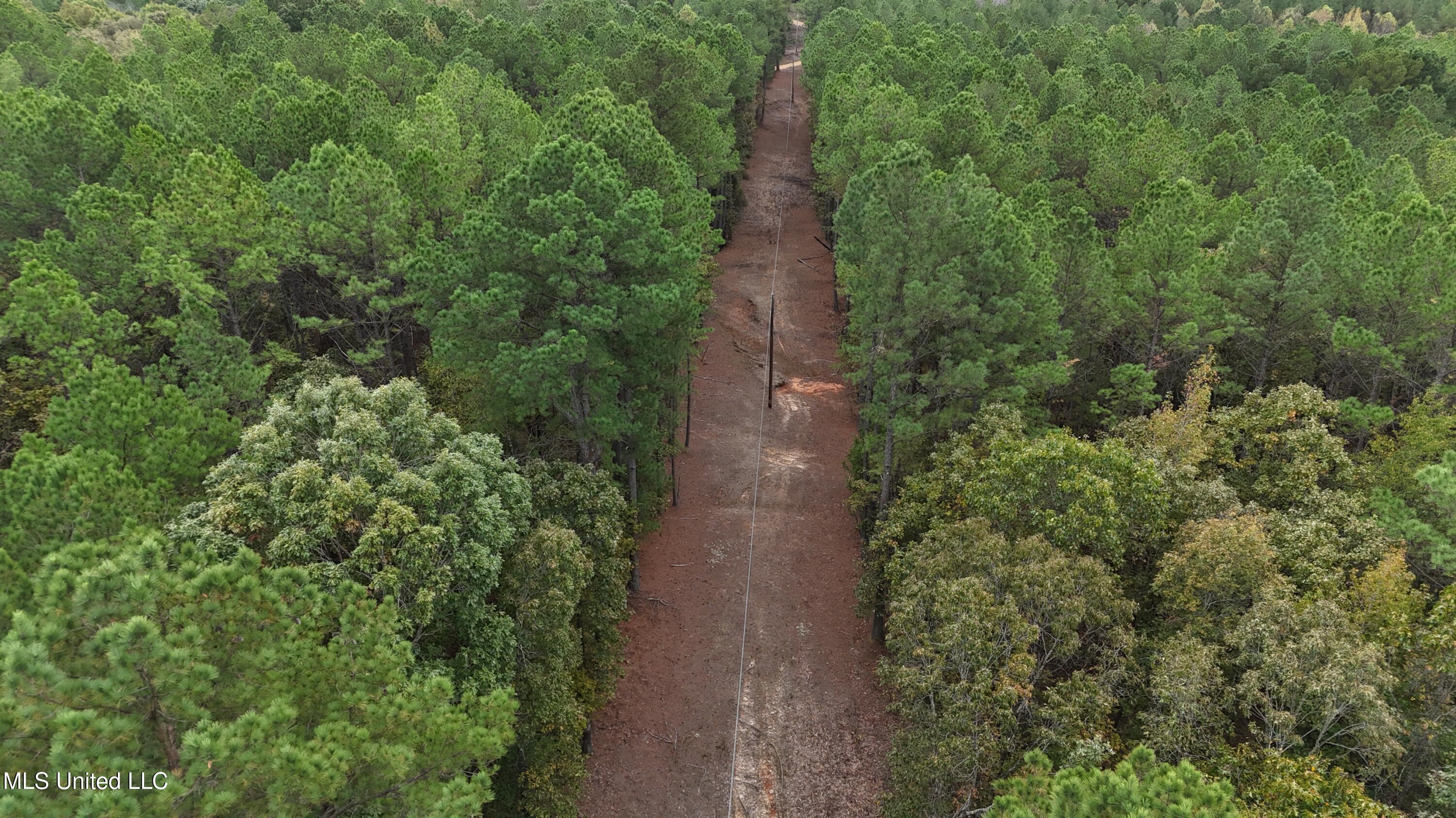 Callicut Rd Road Waterford, MS 38685 - Photo 6 of 15 Photo Oct 24 2025, 3 20 35 PM