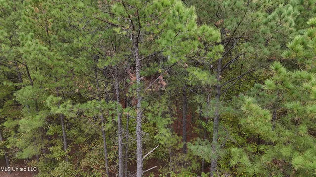 $43,000 | Callicut Rd Road, Waterford, MS 38685