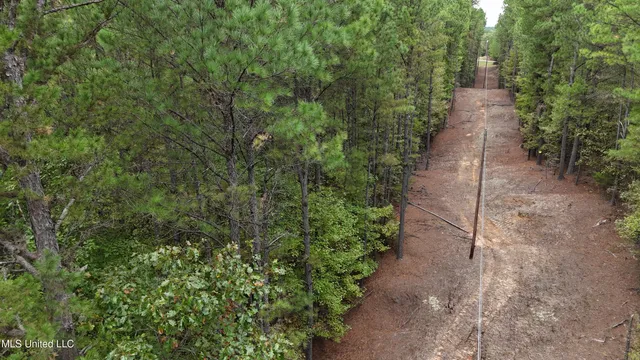 $43,000 | Callicut Rd Road, Waterford, MS 38685