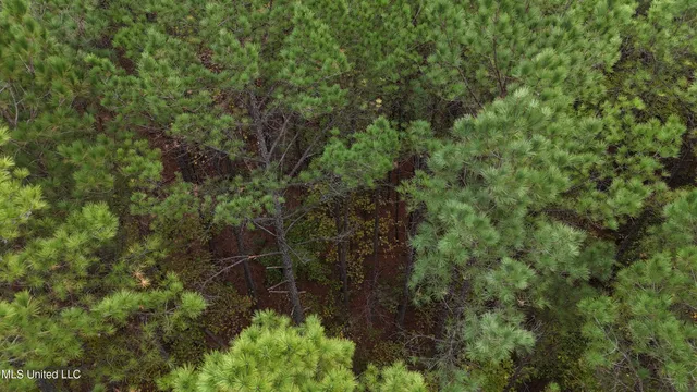 $43,000 | Callicut Rd Road, Waterford, MS 38685