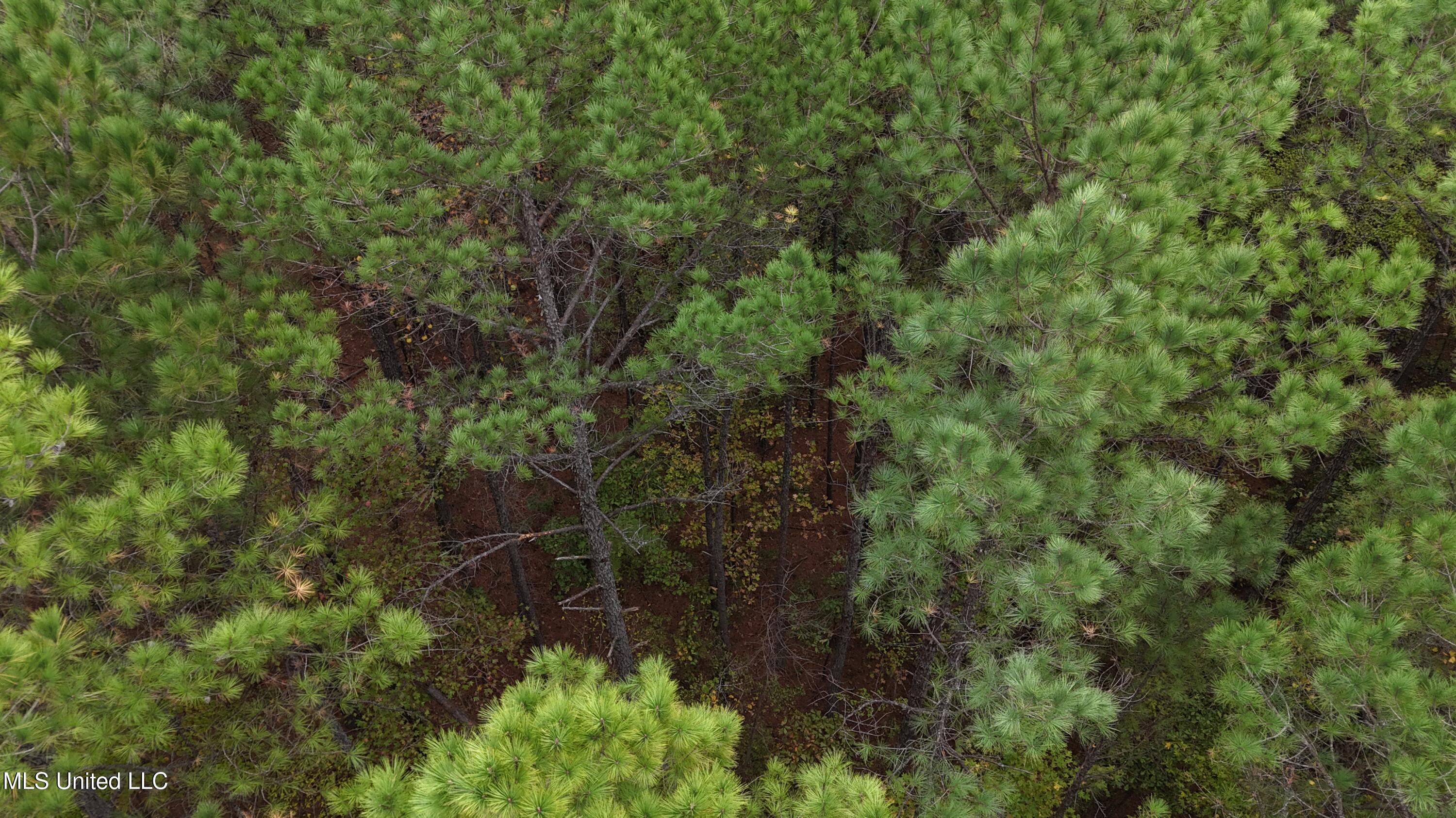 Callicut Rd Road Waterford, MS 38685 - Photo 9 of 15 Photo Oct 24 2025, 3 21 50 PM