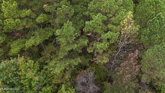 $43,000 | Callicut Rd Road, Waterford, MS 38685