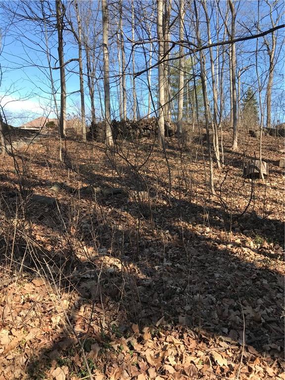 9214 Bluestone Circle Indianapolis, IN 46236 - Photo 4 of 4