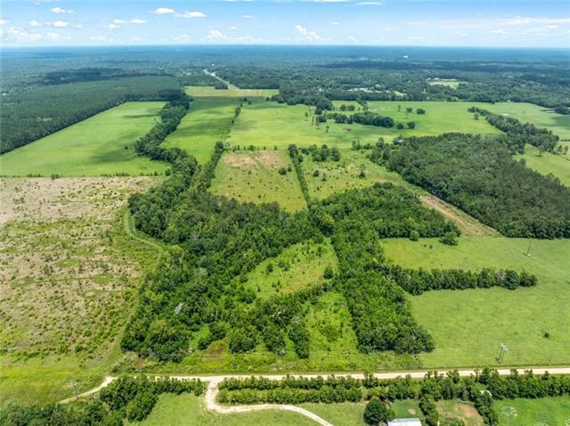 0 Edith Road Bush, LA 70431 - Photo 2 of 13