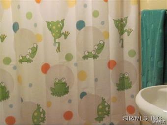 4394 Schmidt Road Brighton, IL 62012 - Photo 17 of 19