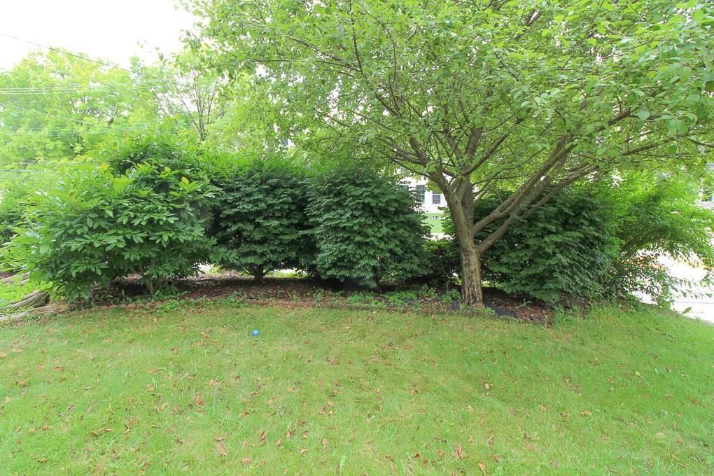 150 Cochran Road Pittsburgh, PA 15228 - Photo 19 of 20 Front Yard