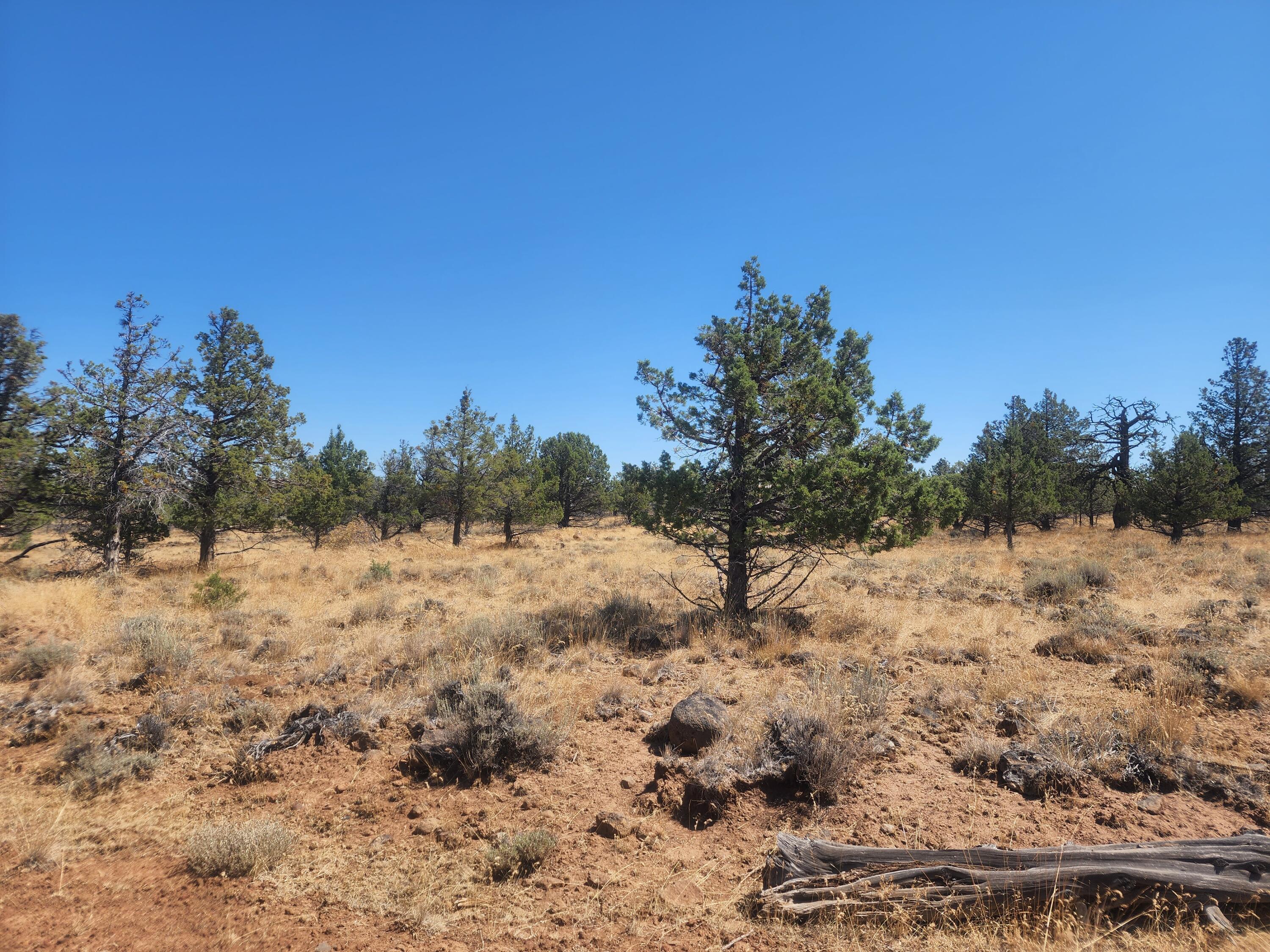 15813 Knollcrest Road Klamath Falls, OR 97603 - Photo 2 of 6 20220824_122620