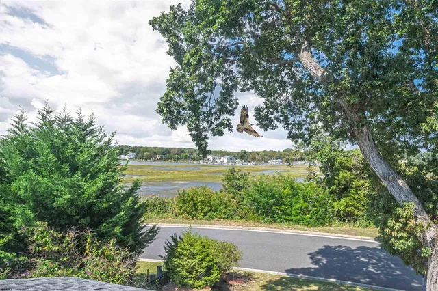 a view of a lake view with a garden