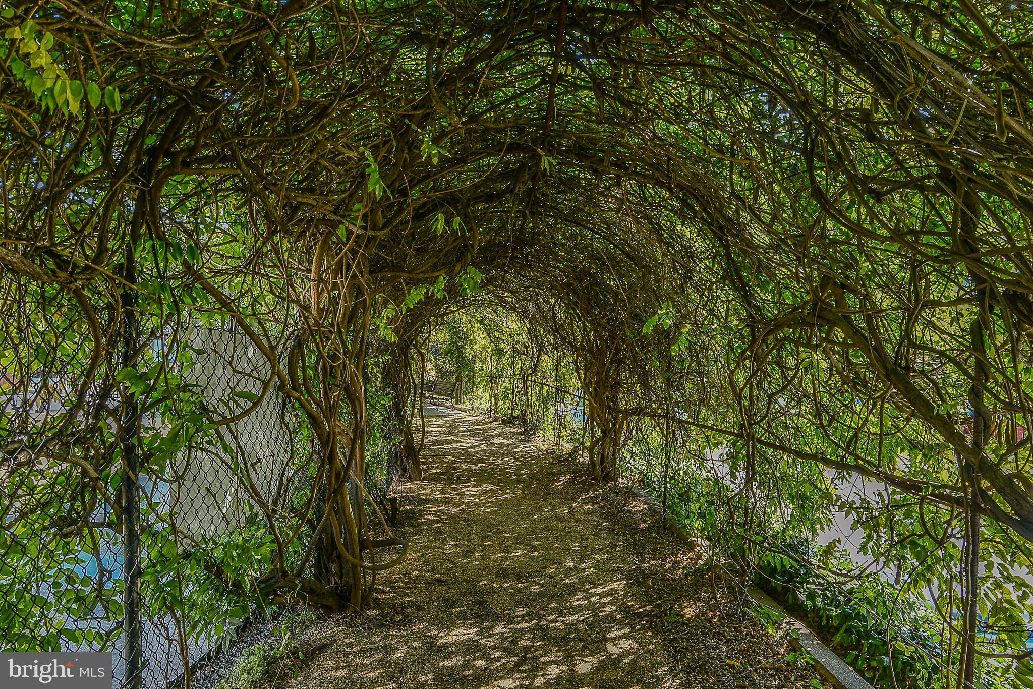 8350 Greensboro Drive, Unit 517 McLean, VA 22102 - Photo 33 of 35 a view of a yard