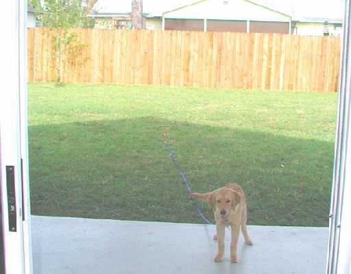 755 Southwest Bond Road Port St. Lucie, FL 34953 - Photo 11 of 11 Additional Photo