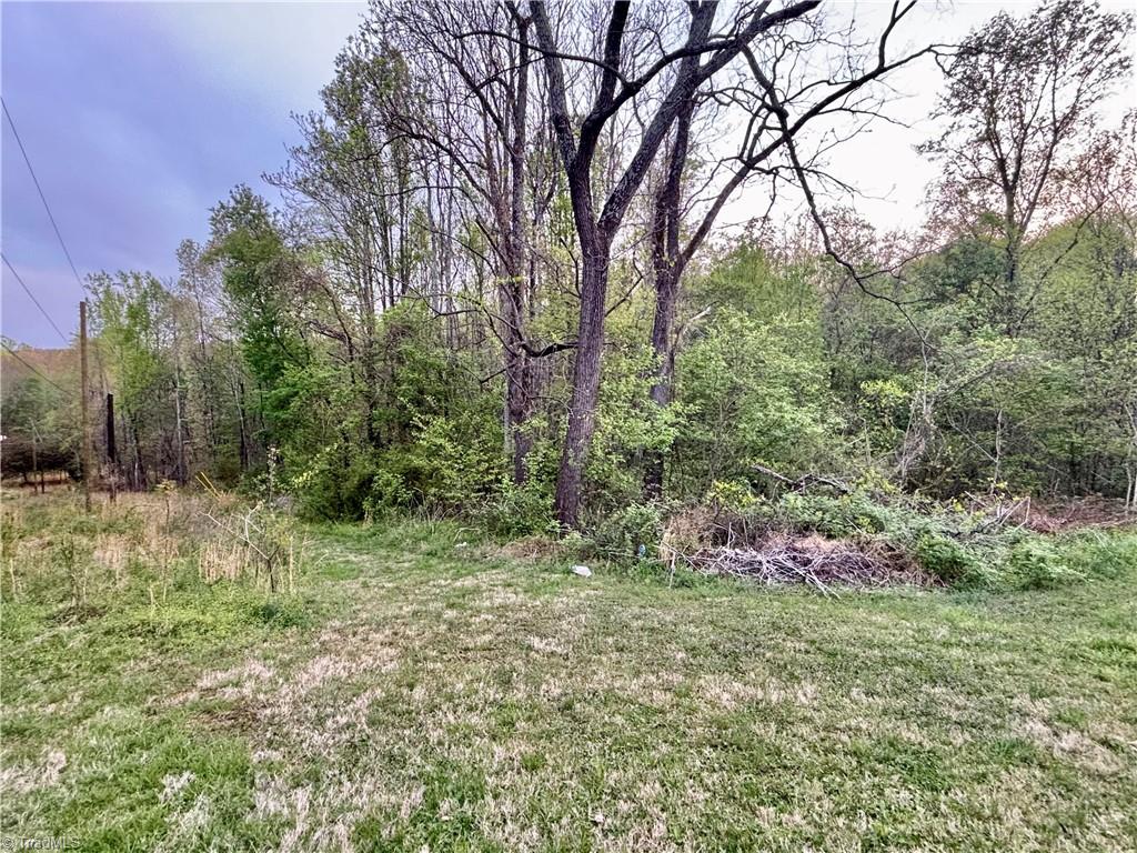 1072 Grassy Knob Road Pinnacle, NC 27043 - Photo 4 of 19