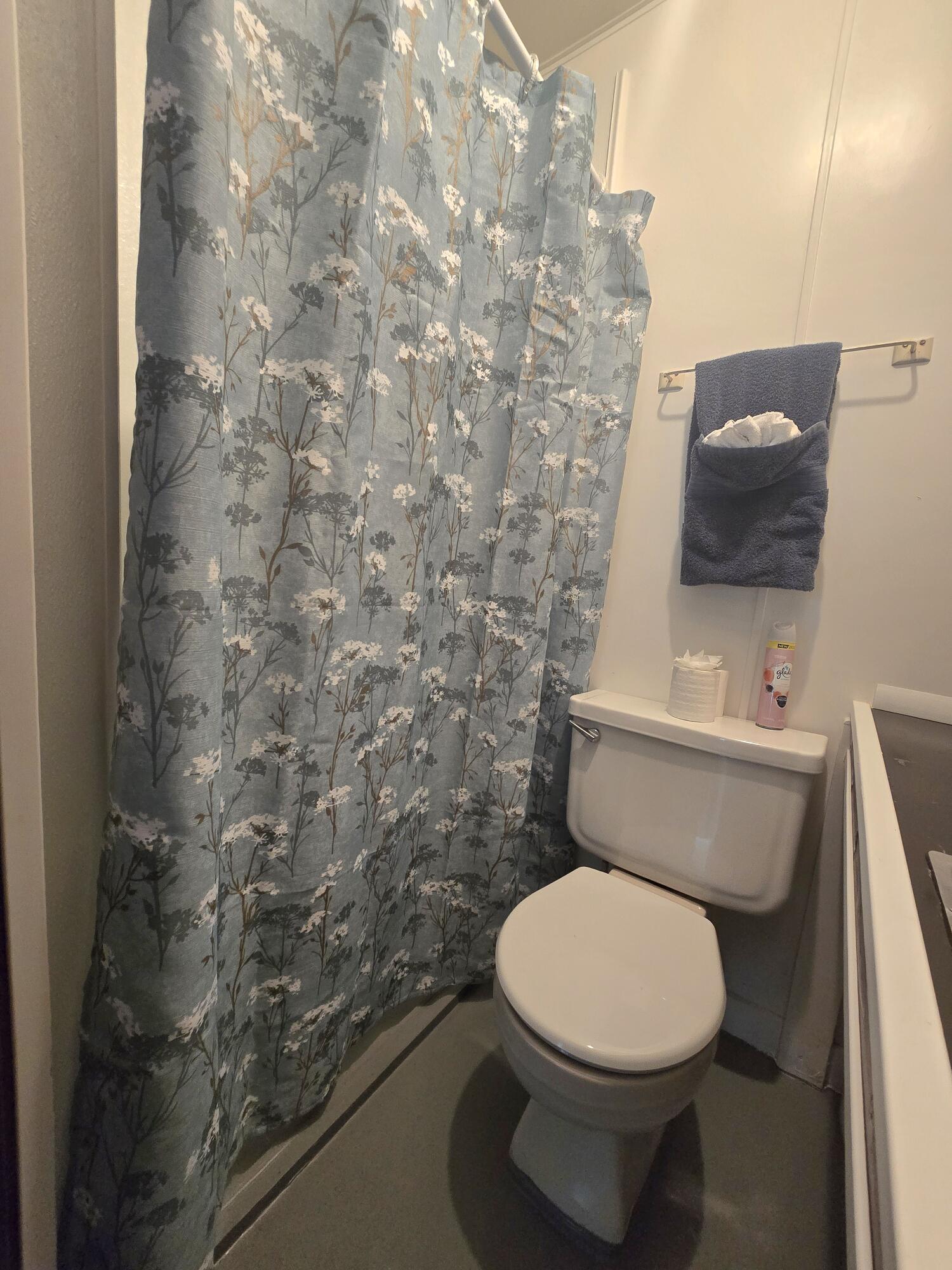 2612 Southeast 29th Street Okeechobee, FL 34974 - Photo 33 of 46 a white toilet sitting next to a shower curtain