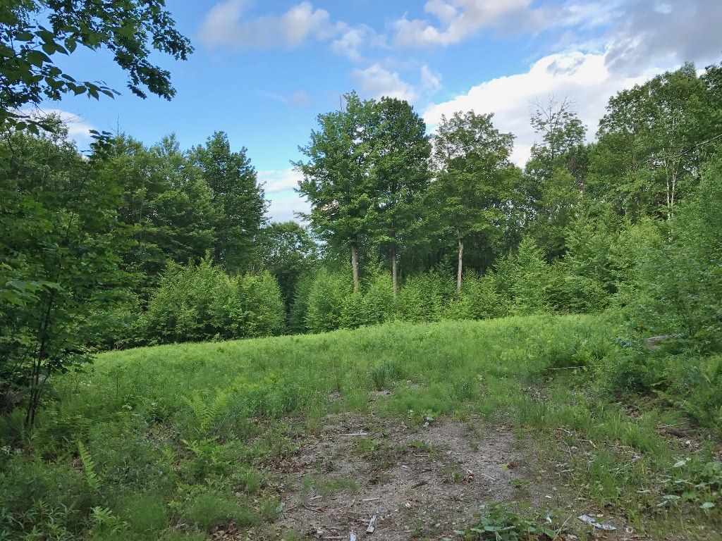 553 Gird Road Springfield, VT 05156 - Photo 2 of 3