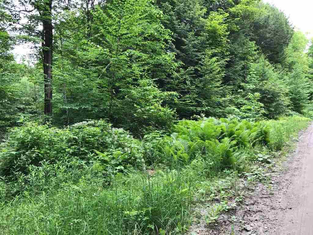 553 Gird Road Springfield, VT 05156 - Photo 3 of 3