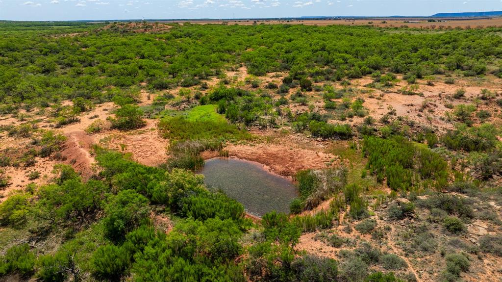179 County Road Trent, TX 79561 - Photo 17 of 28