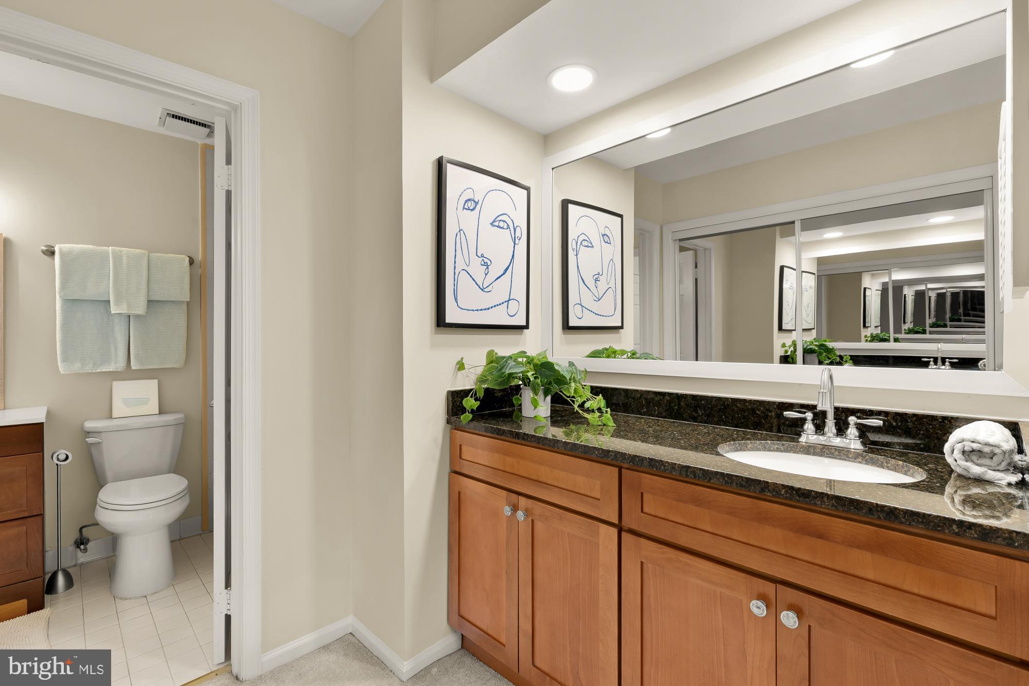 2446 South Walter Reed Drive, Unit B Arlington, VA 22206 - Photo 15 of 26 Elegant bathroom with modern finishes.