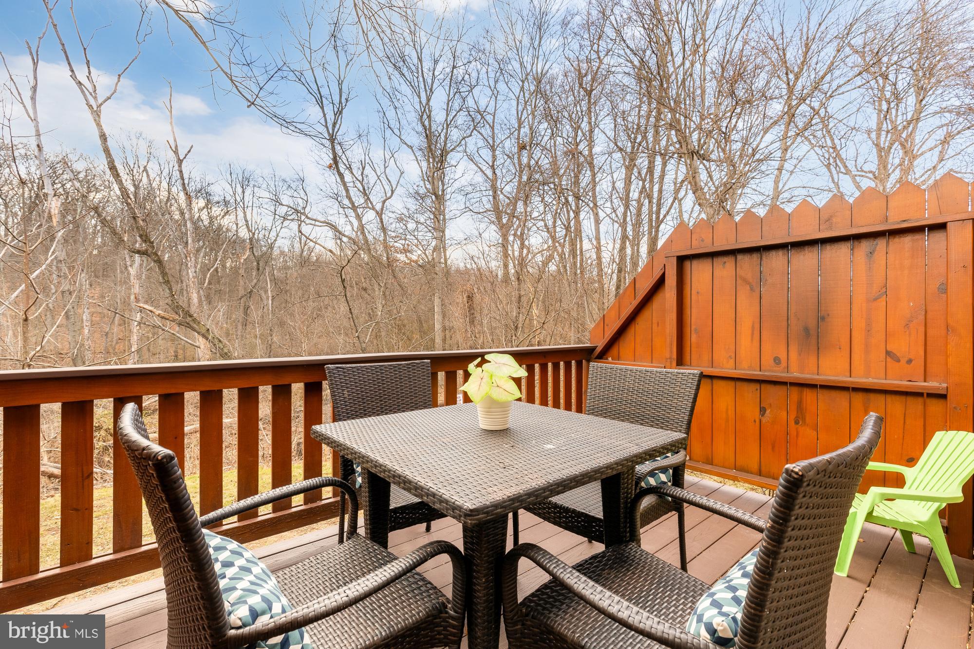 2446 South Walter Reed Drive, Unit B Arlington, VA 22206 - Photo 24 of 26 Serene and private outdoor space w/nature views