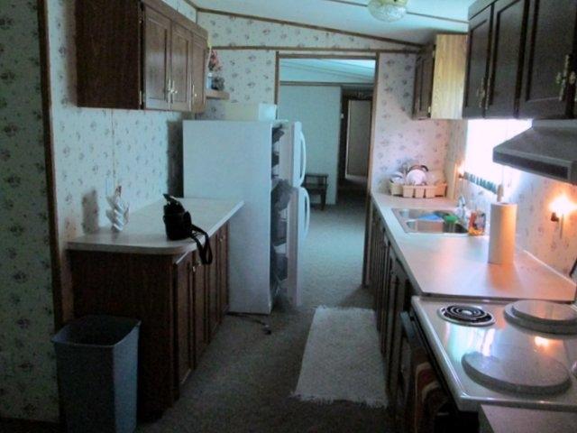 426 Reagan Valley Road Tellico Plains, TN 37385 - Photo 10 of 16 10-IMG_1044