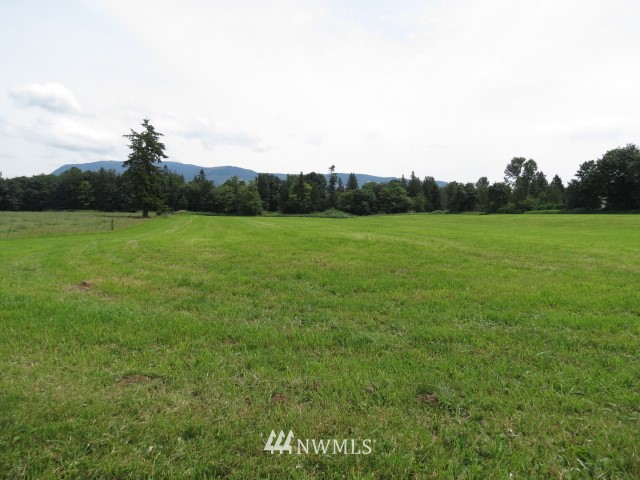 7134 Mission Road Everson, WA 98247 - Photo 17 of 17