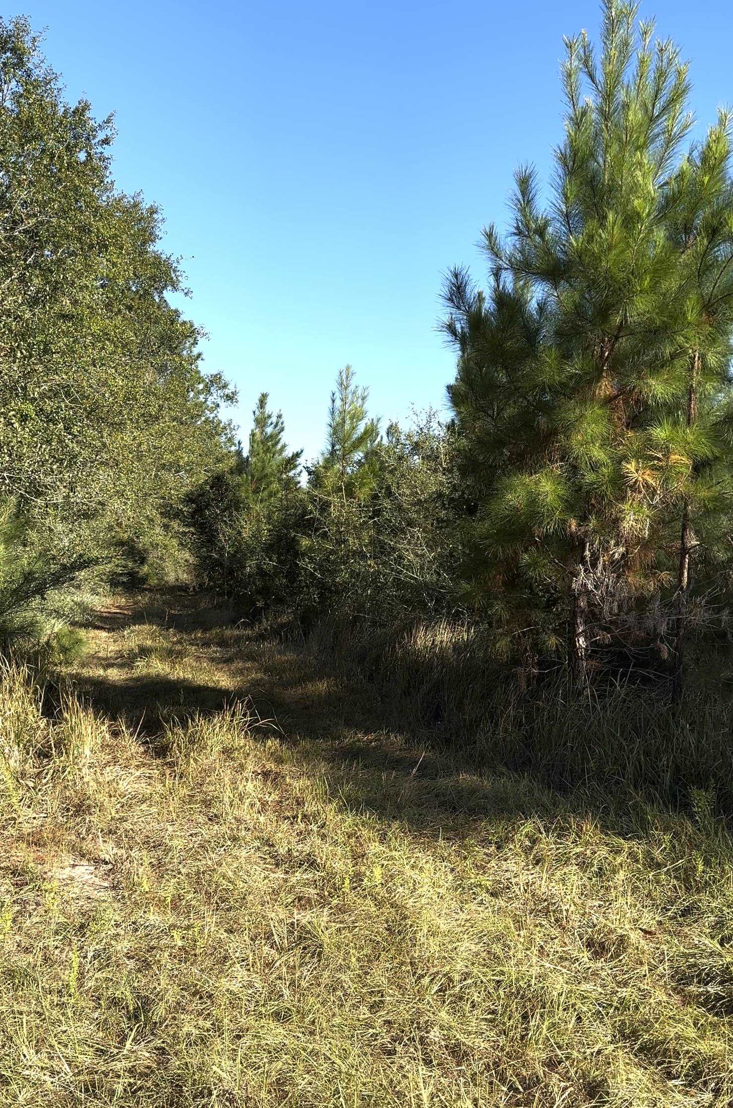 0 Day Road Robertsdale, AL 36567 - Photo 8 of 8