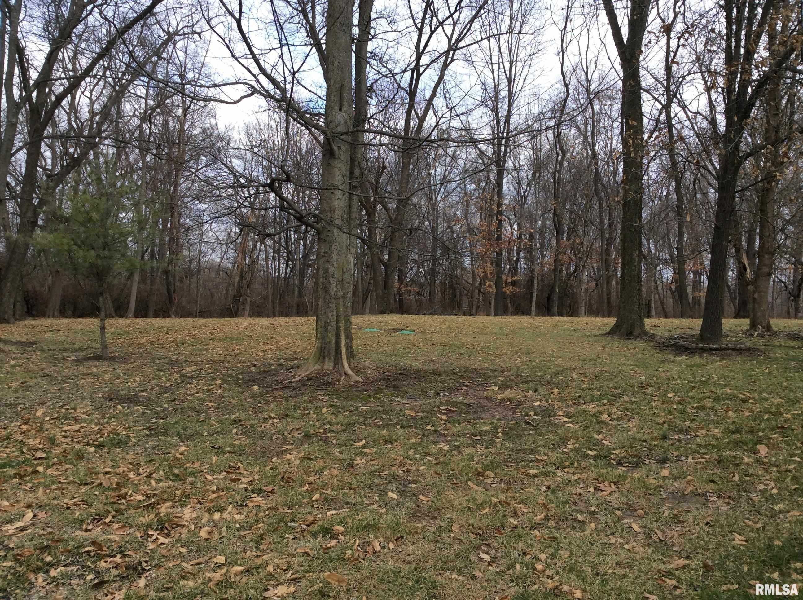 3600 East Bishop Road Mount Vernon, IL 62864 - Photo 37 of 45