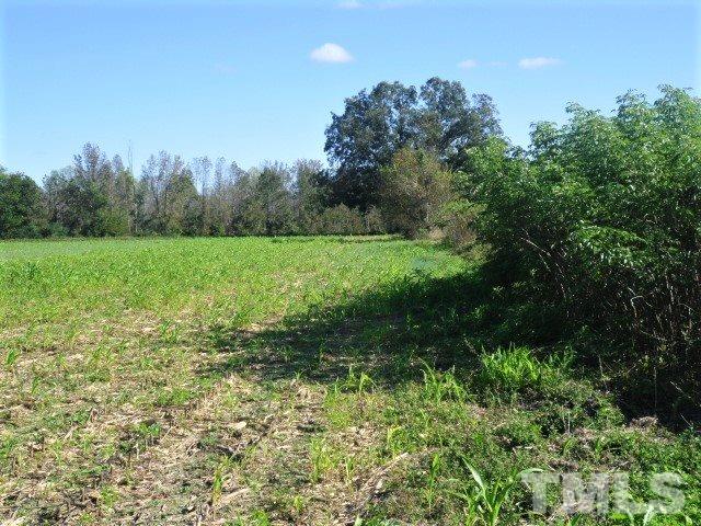 1338 Crawford Road Coats, NC 27521 - Photo 2 of 10 Gallery Image 2