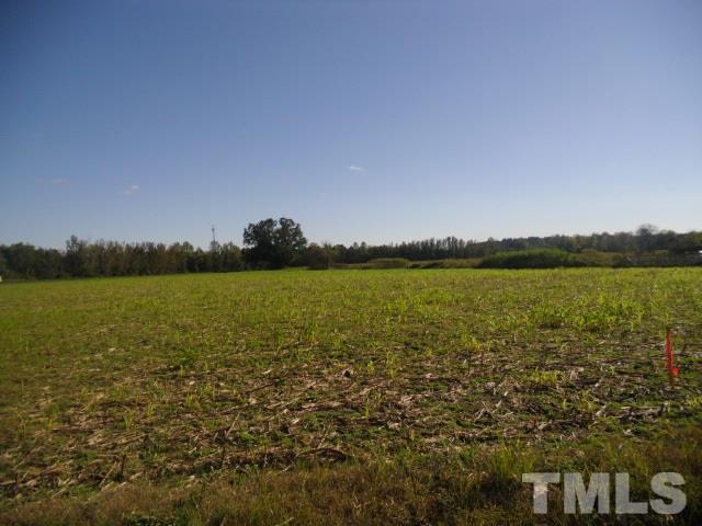 1338 Crawford Road Coats, NC 27521 - Photo 3 of 10 Gallery Image 3