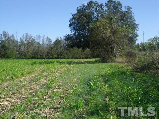 1338 Crawford Road Coats, NC 27521 - Photo 4 of 10 Gallery Image 4