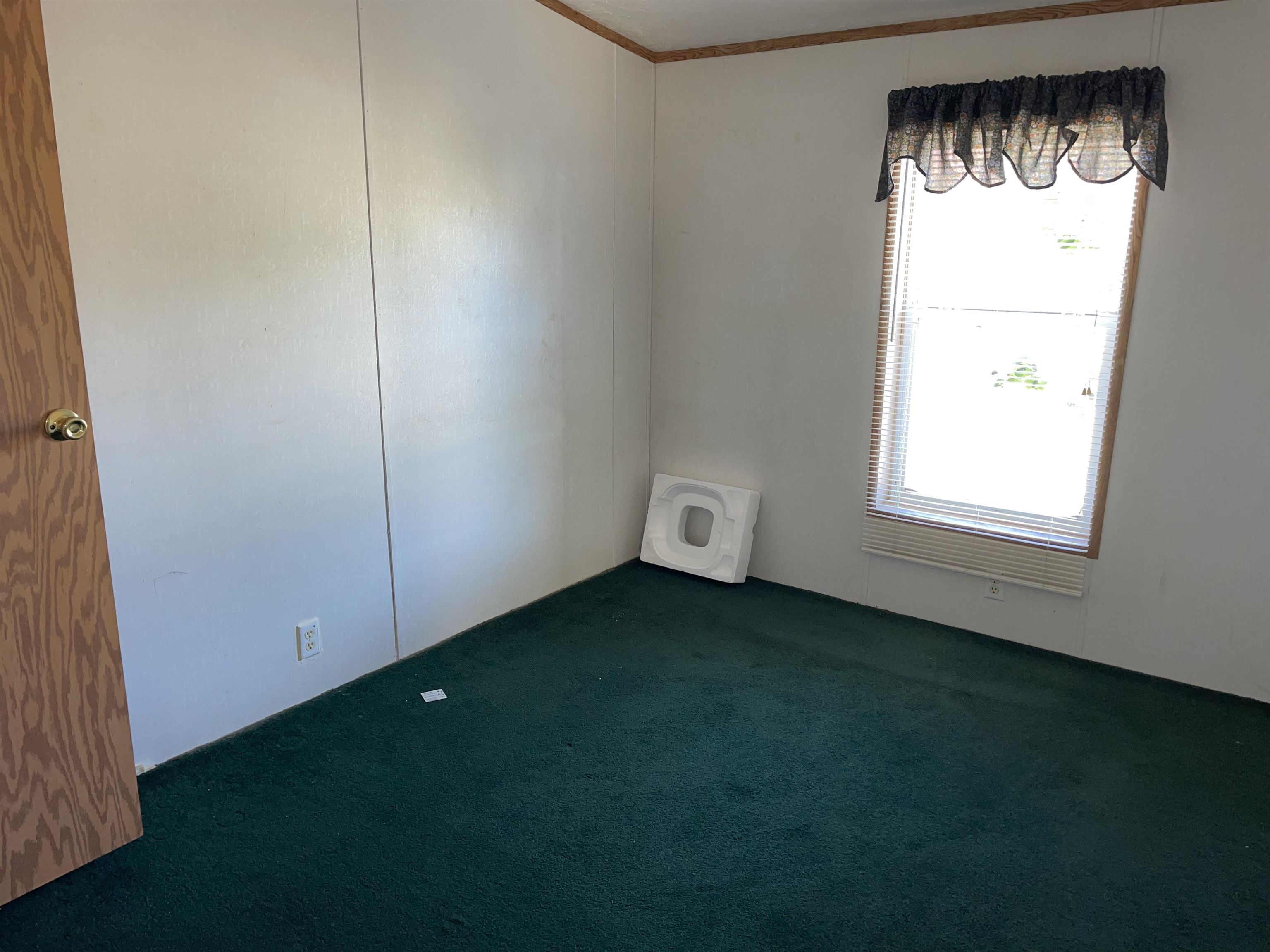 809 Simmons Road Drummonds, TN 38023 - Photo 17 of 19 Carpeted spare room with crown molding and a healthy amount of sunlight