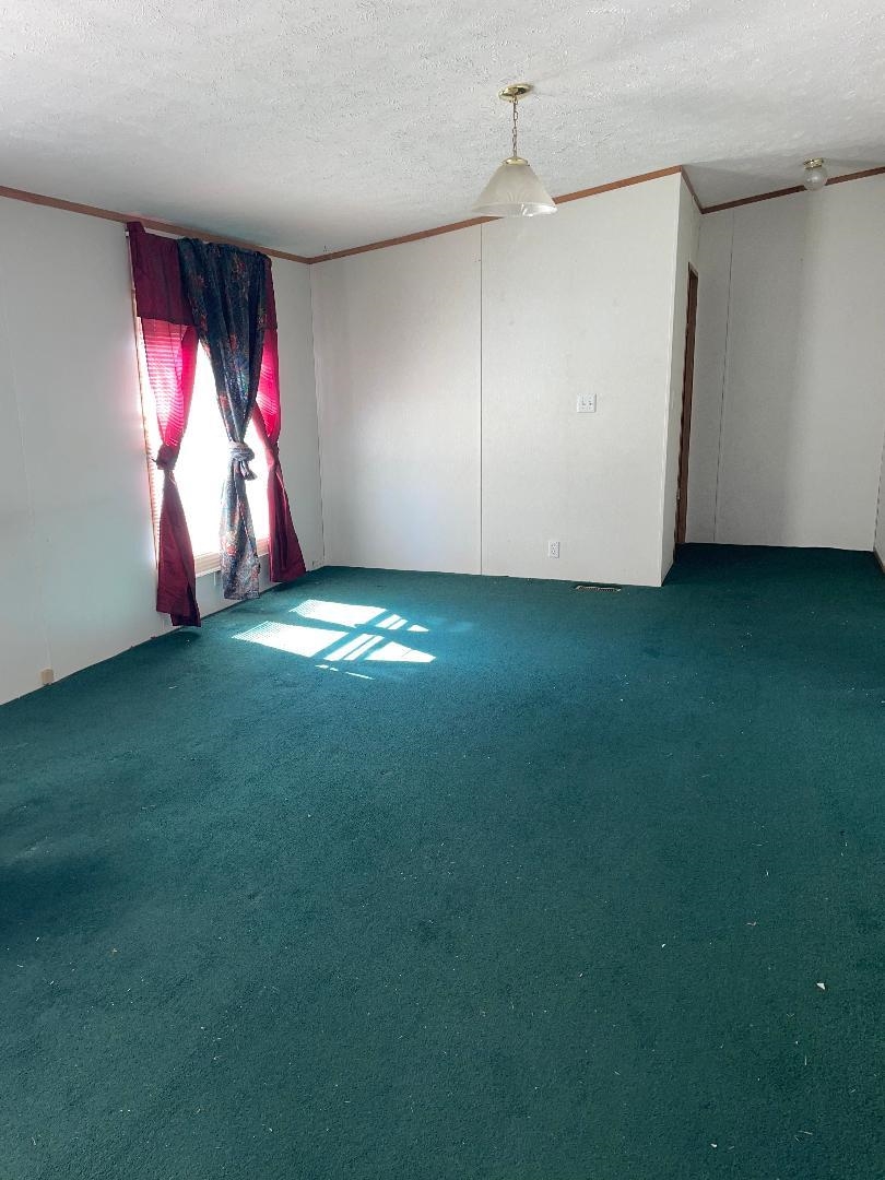 Spare room featuring a textured ceiling, crown molding, and carpet flooring