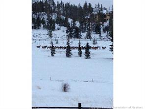 23 S Road Breckenridge, CO 80424 - Photo 14 of 14 Gallery Image 14