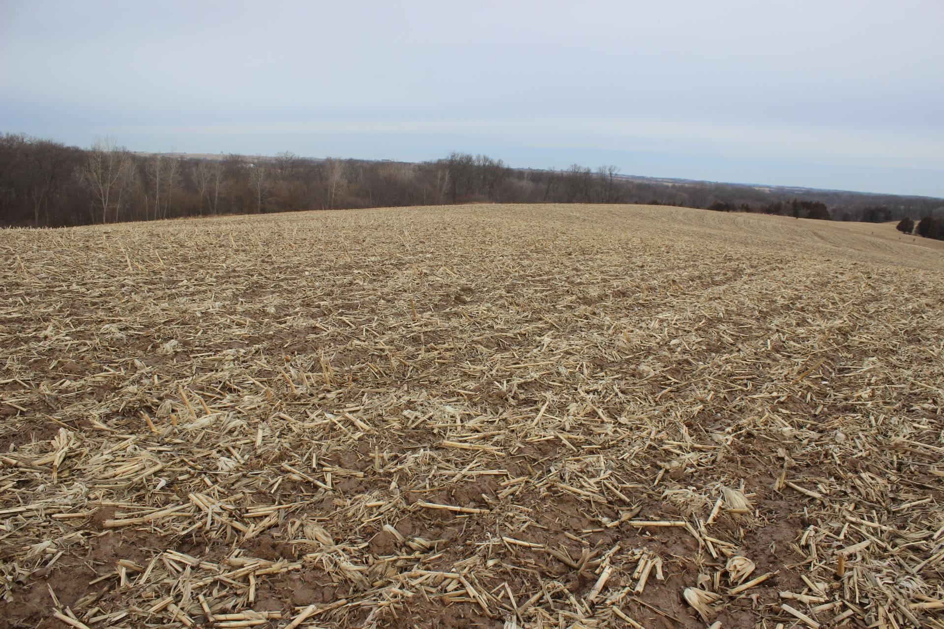 0 484th Avenue Baldwin, IA 52207 - Photo 13 of 15 Gallery Image 13