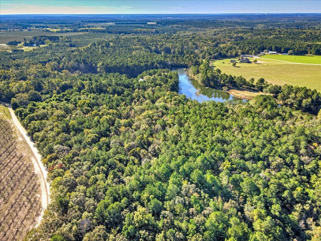 0 Broomstraw Road Johnston, SC 29832 - Photo 1 of 22