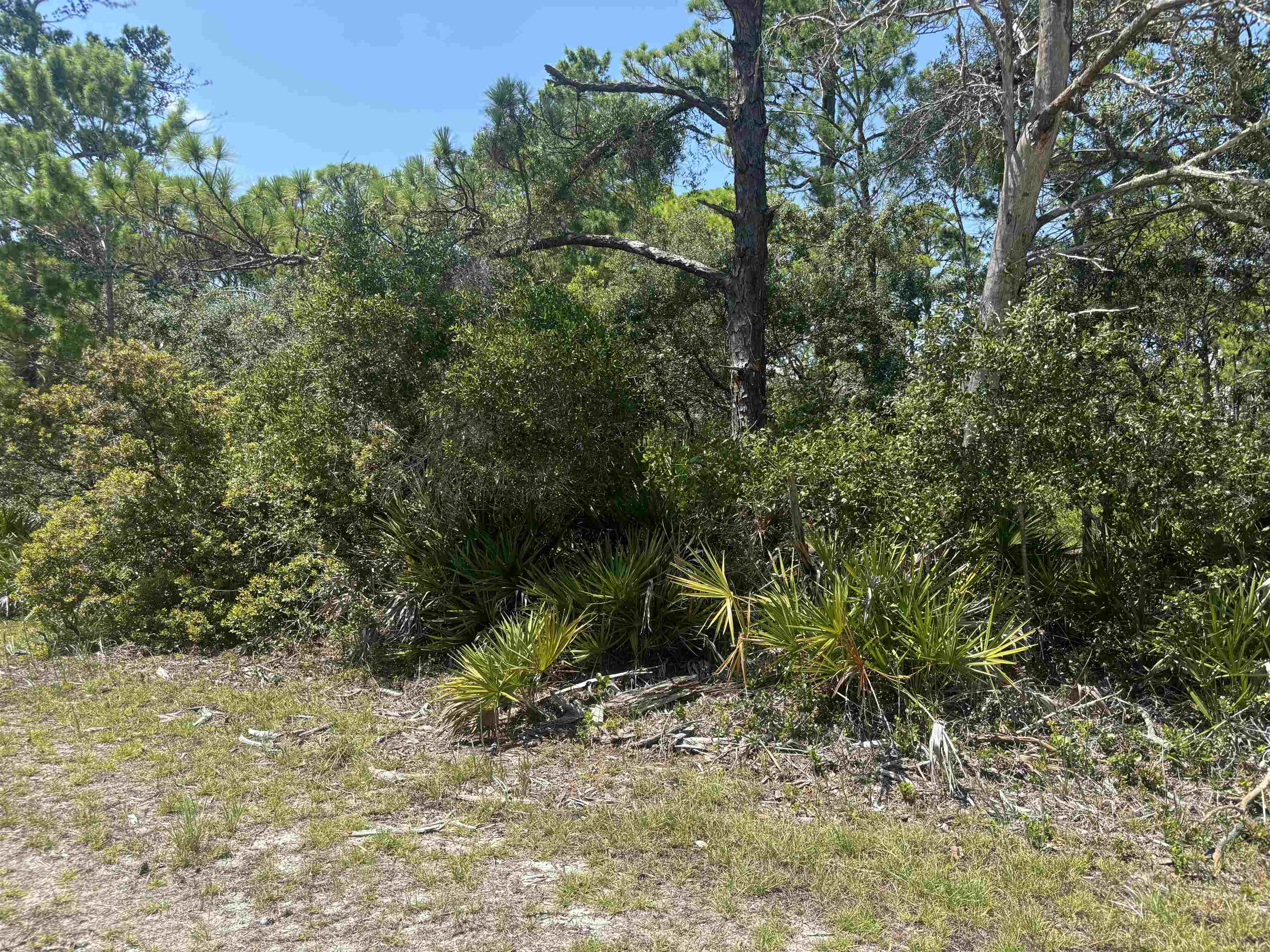 Lot 204 Fernway Road, Unit 1 Alligator Point, FL 32346 - Photo 1 of 4 Gallery Image 1