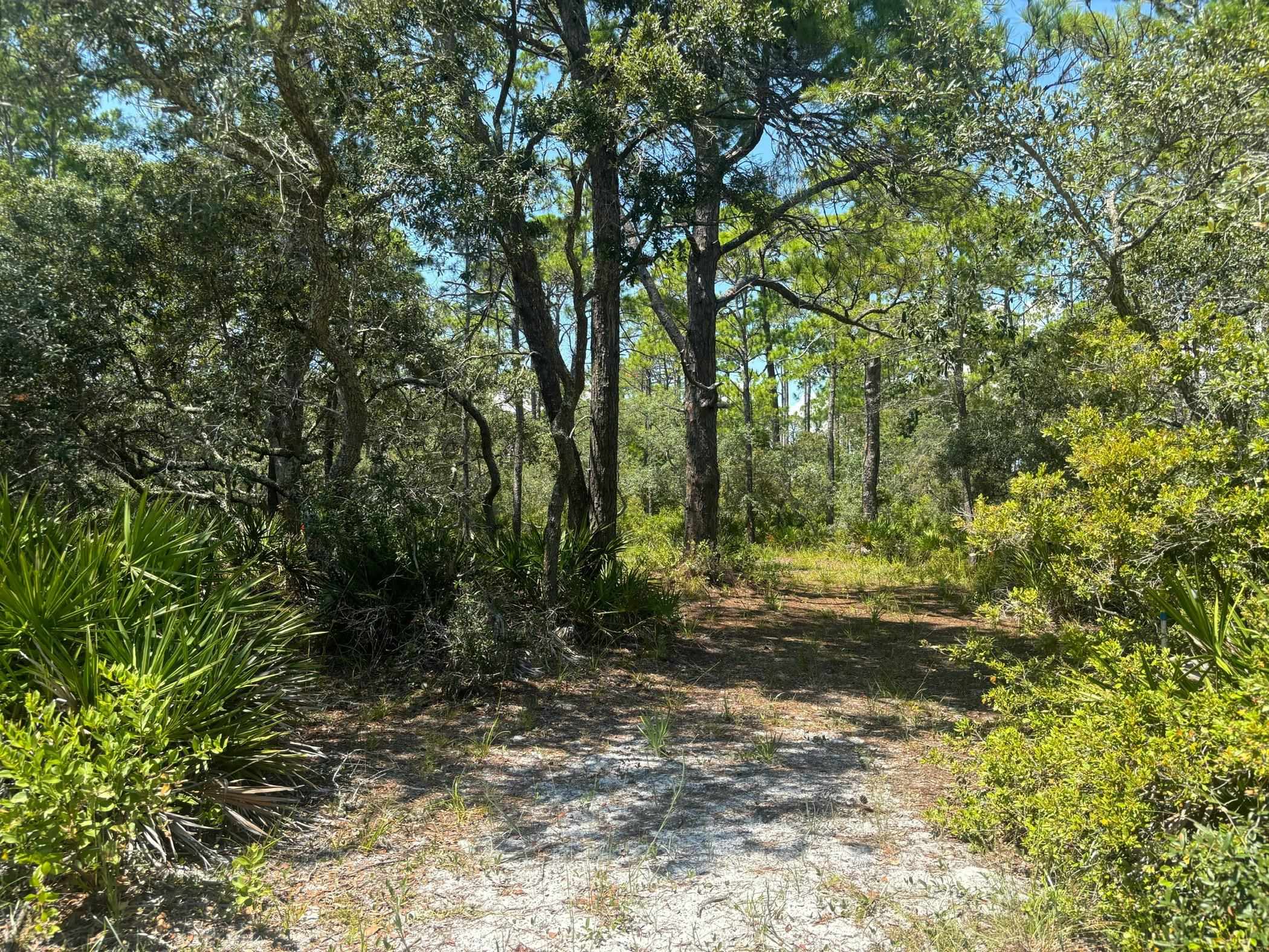 Lot 204 Fernway Road, Unit 1 Alligator Point, FL 32346 - Photo 3 of 4 Gallery Image 3