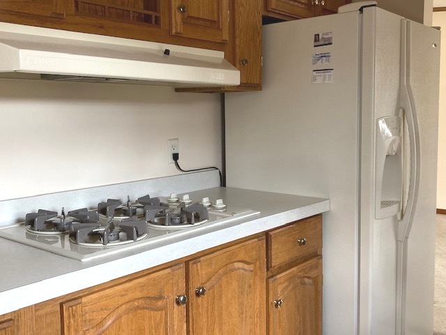 895 Cayuga Trail Marengo, IL 60152 - Photo 15 of 39 a kitchen with a sink and cabinets