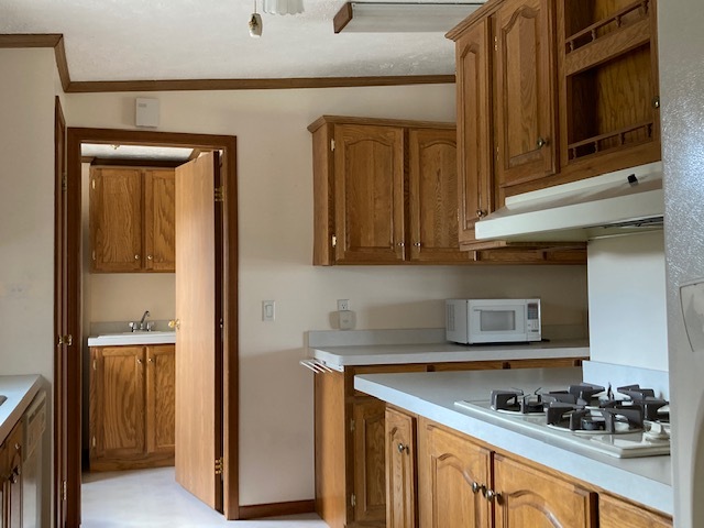 895 Cayuga Trail Marengo, IL 60152 - Photo 18 of 39 a kitchen with stainless steel appliances granite countertop a sink and cabinets with wooden floor