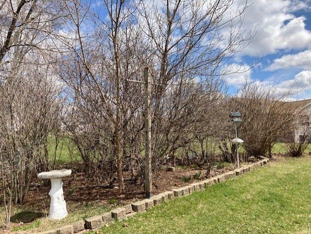 895 Cayuga Trail Marengo, IL 60152 - Photo 36 of 39 a table and chairs in the garden