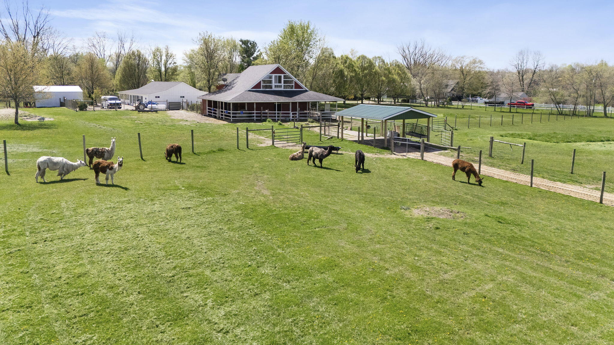 11971 South Hildebrandt Road Sawyer, MI 49125 - Photo 6 of 49 Llama Pastures