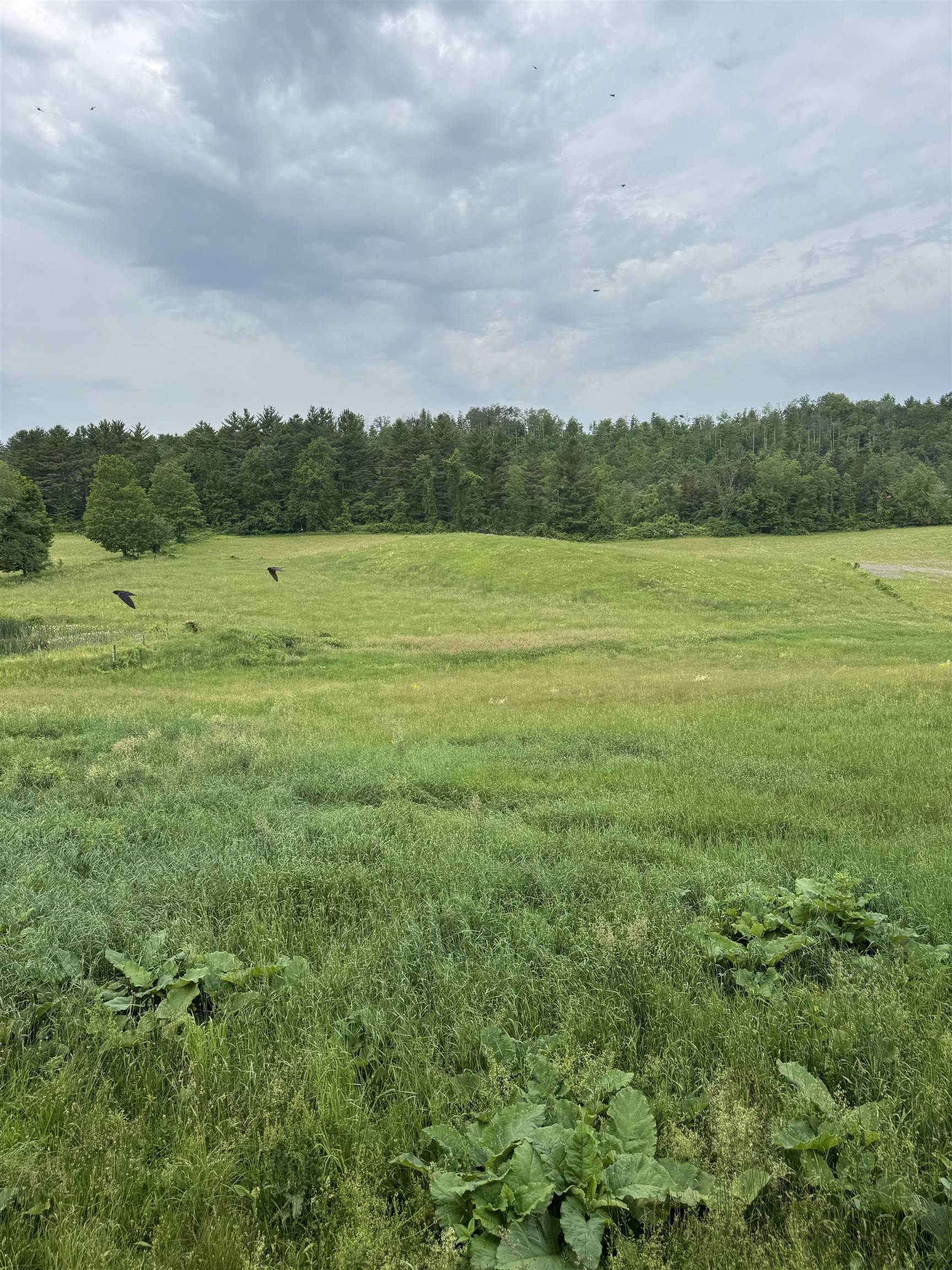 1801 South Stream Road Bennington, VT 05201 - Photo 15 of 19