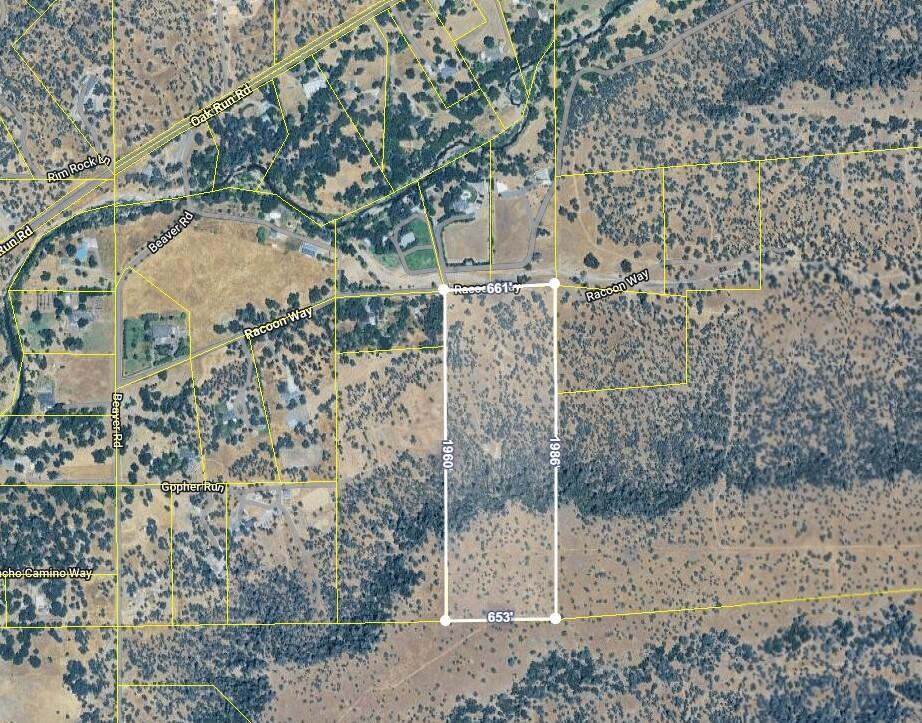0 Racoon Way Oak Run, CA 96069 - Photo 2 of 39 Borders-Racoon Way (060-640-026)