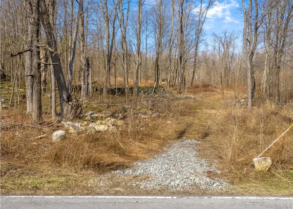 $325,000 | 576 Holmes Road, Holmes, NY 12531