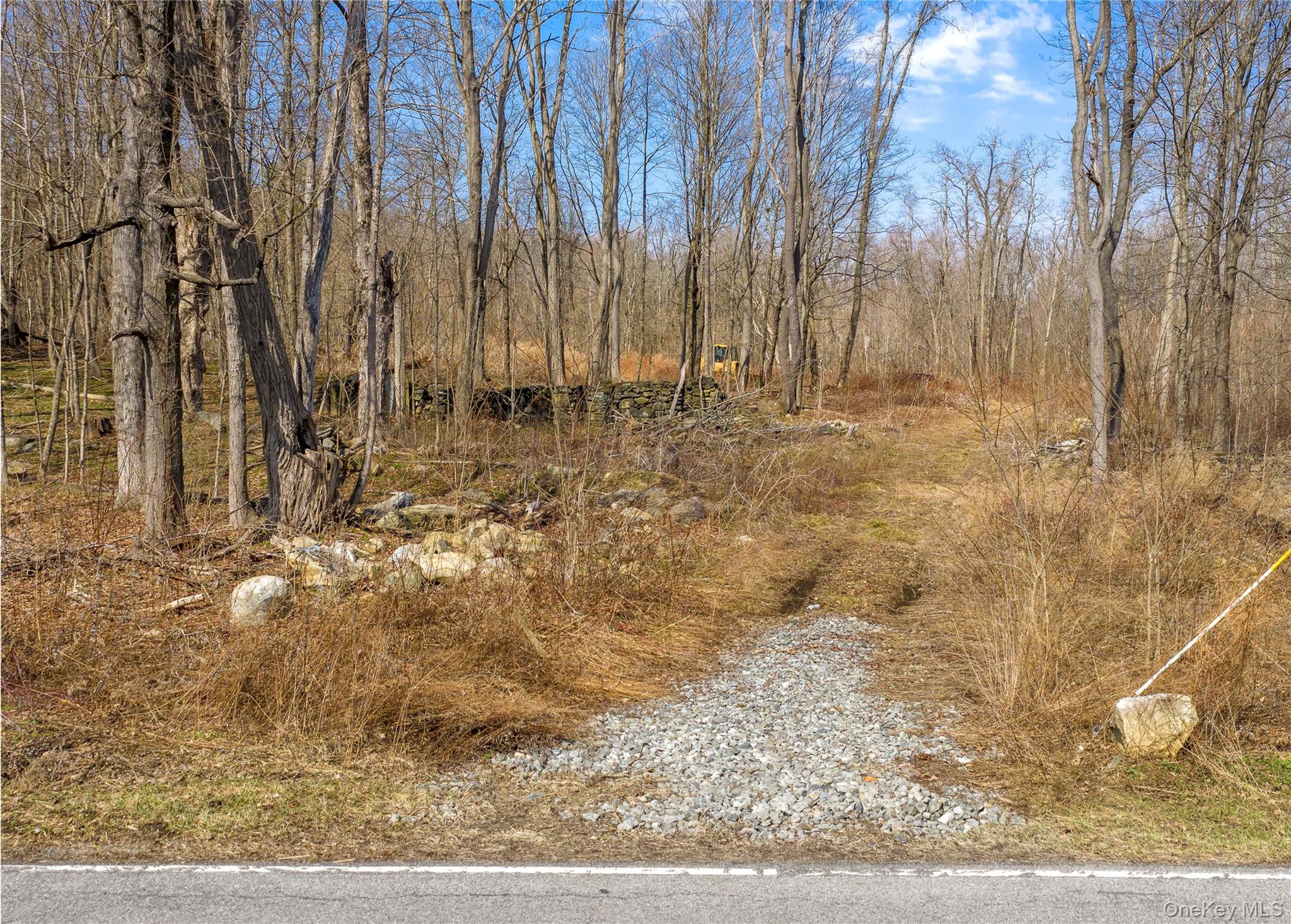 576 Holmes Road Holmes, NY 12531 - Photo 6 of 12 Driveway cut on Holmes Road that leads to a cleared central area.