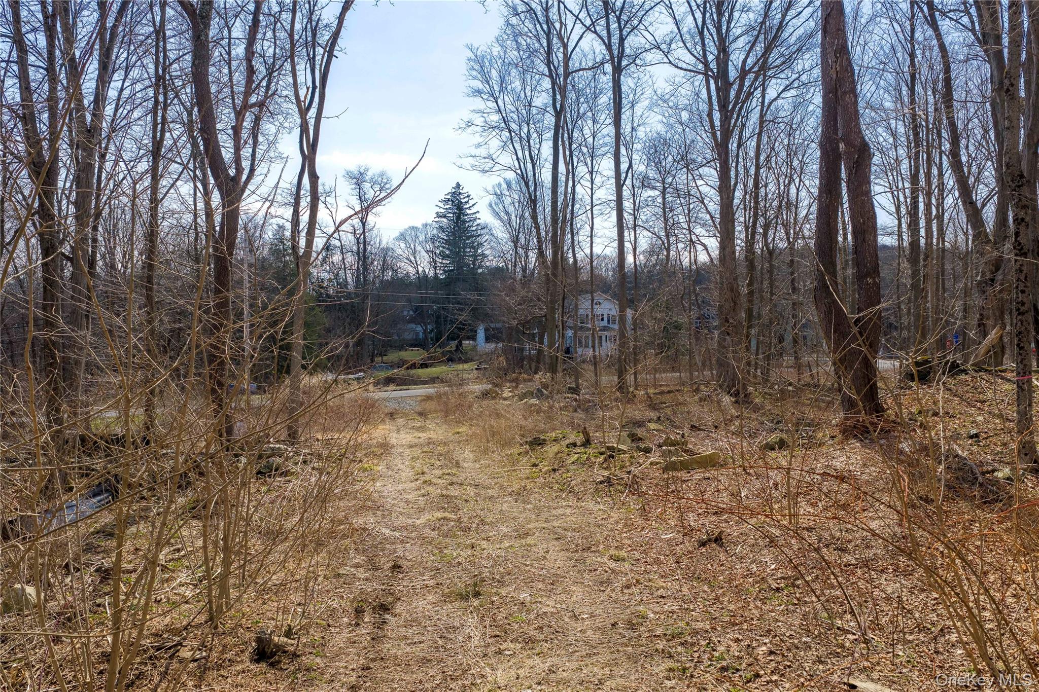 576 Holmes Road Holmes, NY 12531 - Photo 7 of 12 Providing a valuable head start for future development.