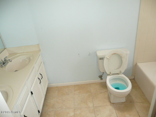 4209 East Frye Road Phoenix, AZ 85048 - Photo 7 of 9 BATHROOM 2