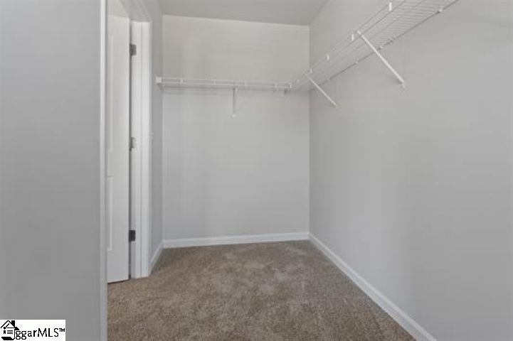 113 Derwent Trail Greenville, SC 29605 - Photo 18 of 22