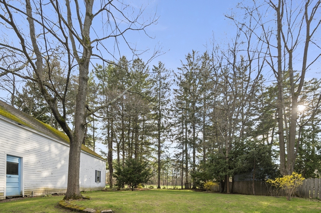 110 Linden Street Hamilton, MA 01982 - Photo 5 of 25 a view of a trees in a yard